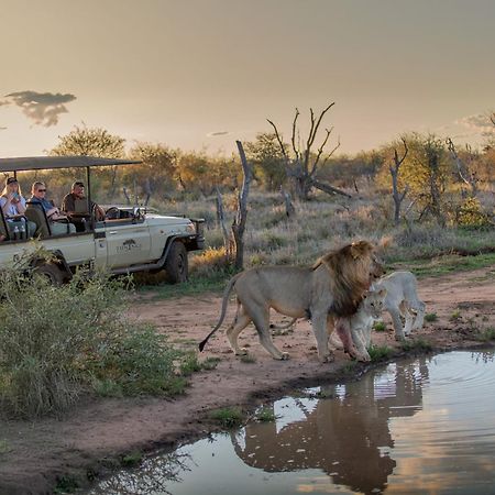 Tuningi Safari Lodge มาเดิคเวเกมรีเซิร์ฟ ภายนอก รูปภาพ