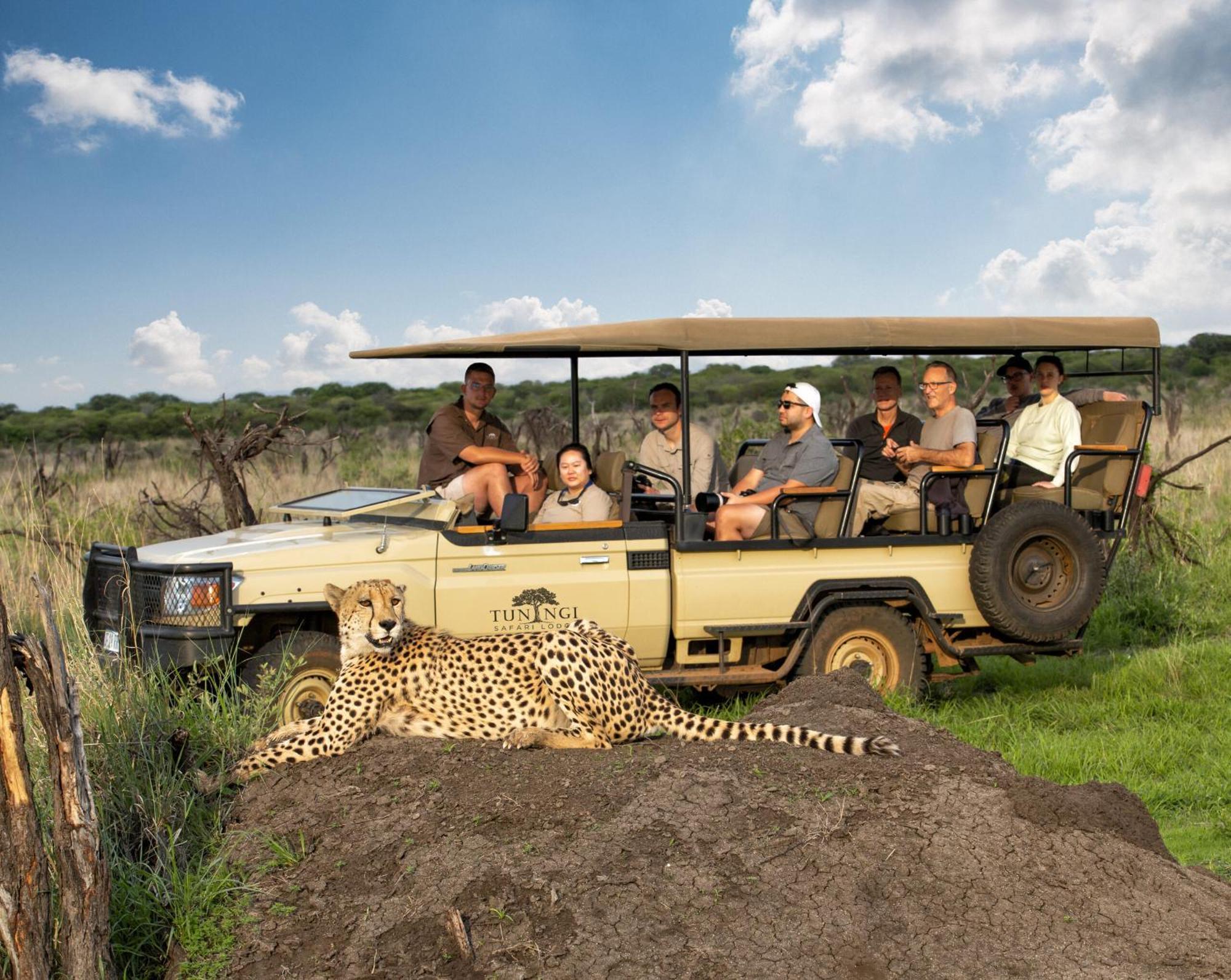 Tuningi Safari Lodge มาเดิคเวเกมรีเซิร์ฟ ภายนอก รูปภาพ