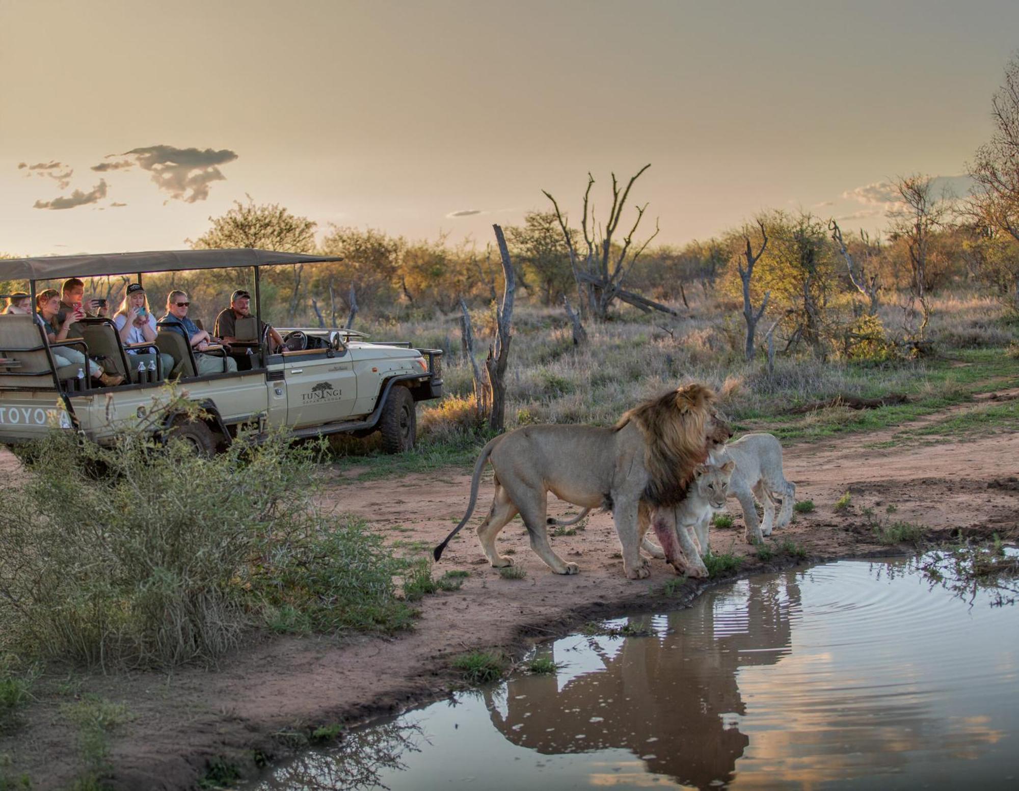 Tuningi Safari Lodge มาเดิคเวเกมรีเซิร์ฟ ภายนอก รูปภาพ