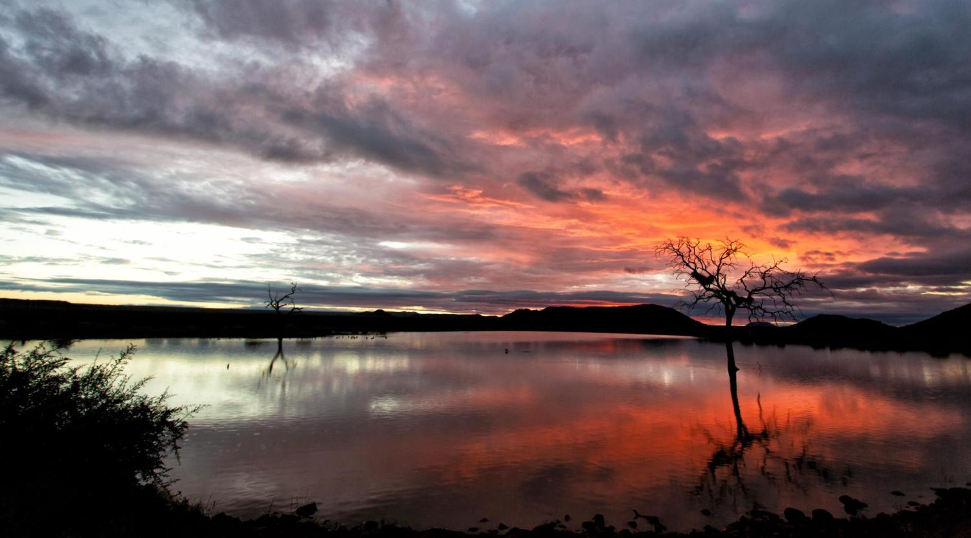 Tuningi Safari Lodge มาเดิคเวเกมรีเซิร์ฟ ภายนอก รูปภาพ